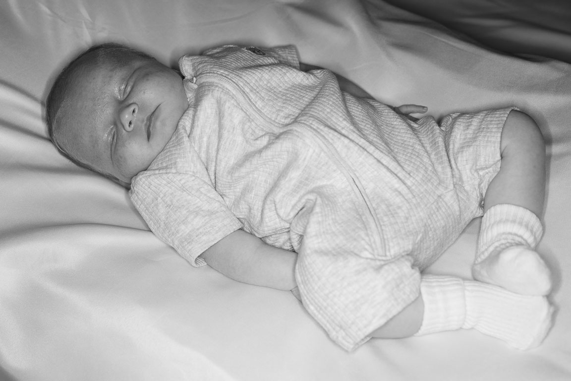 20250720-PQML7422.jpg 20250720-PQML7422.jpg