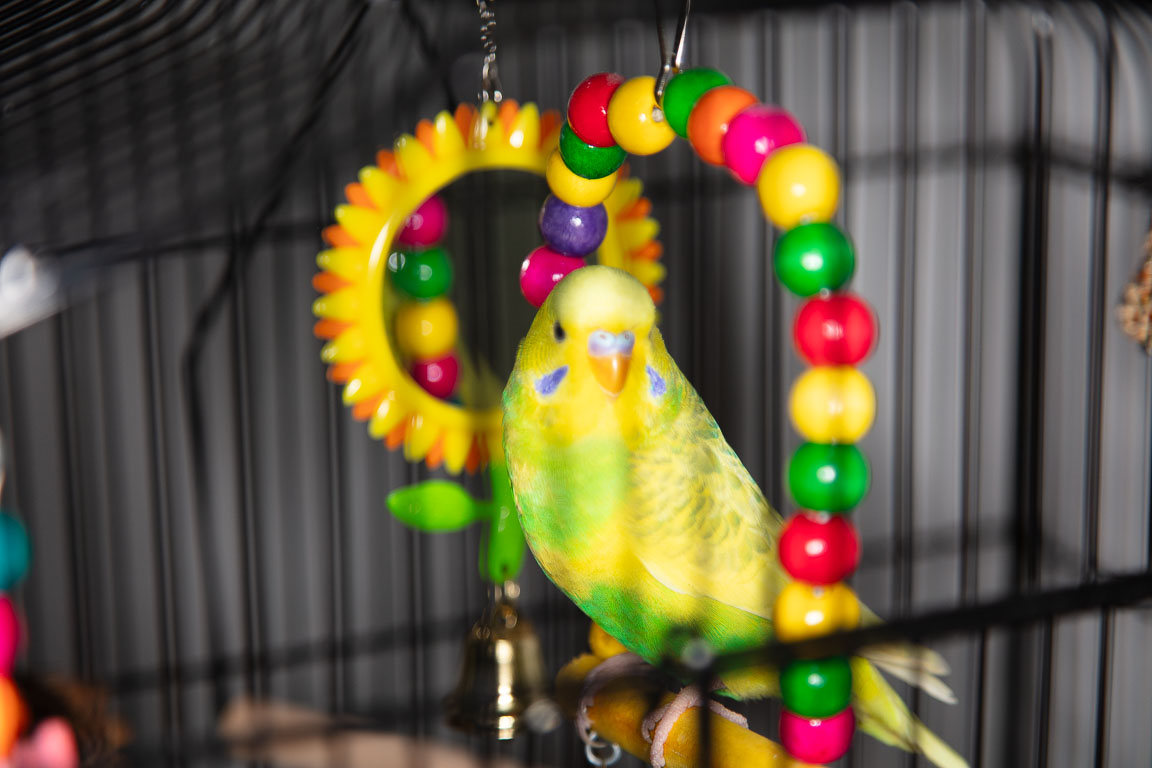 20250720-PQML7432.jpg 20250720-PQML7432.jpg