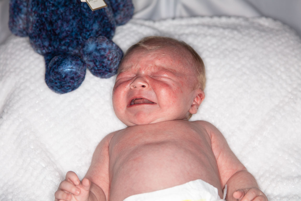 20250720-PQML7434.jpg 20250720-PQML7434.jpg