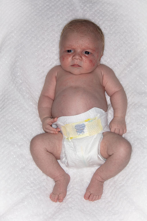 20250720-PQML7444.jpg 20250720-PQML7444.jpg