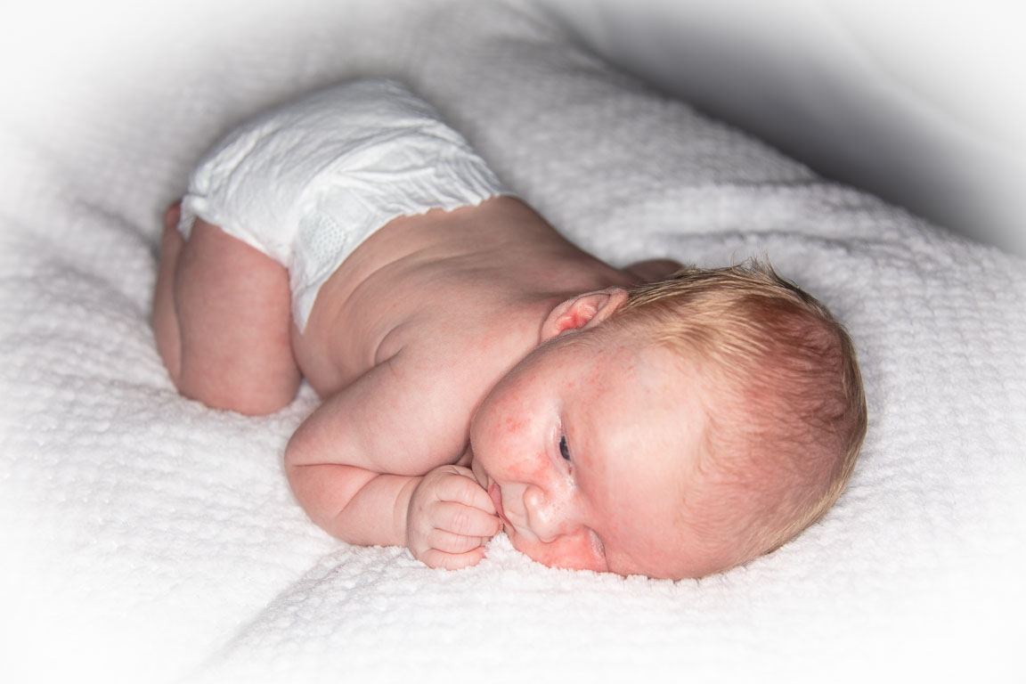 20250720-PQML7445.jpg 20250720-PQML7445.jpg