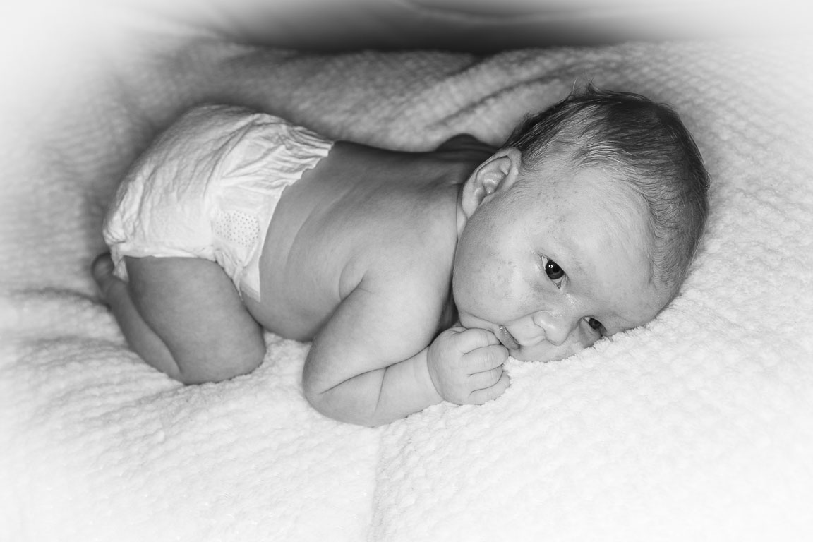 20250720-PQML7446.jpg 20250720-PQML7446.jpg