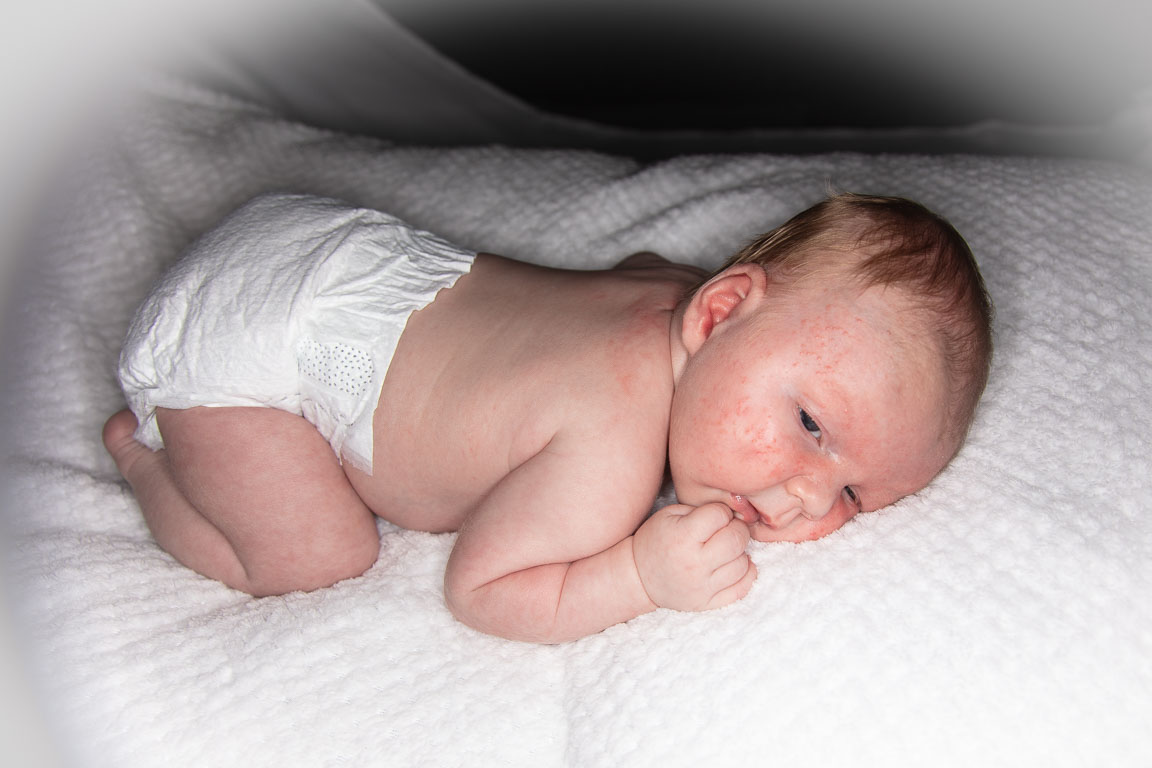 20250720-PQML7448.jpg 20250720-PQML7448.jpg