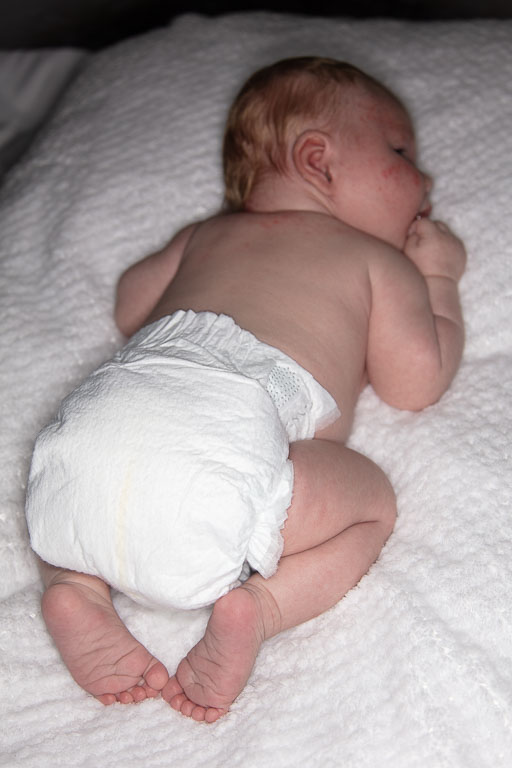 20250720-PQML7452.jpg 20250720-PQML7452.jpg