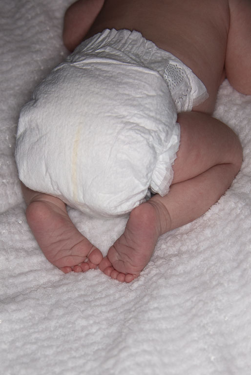 20250720-PQML7454.jpg 20250720-PQML7454.jpg