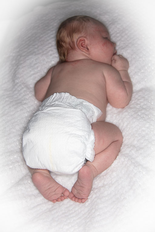 20250720-PQML7456.jpg 20250720-PQML7456.jpg