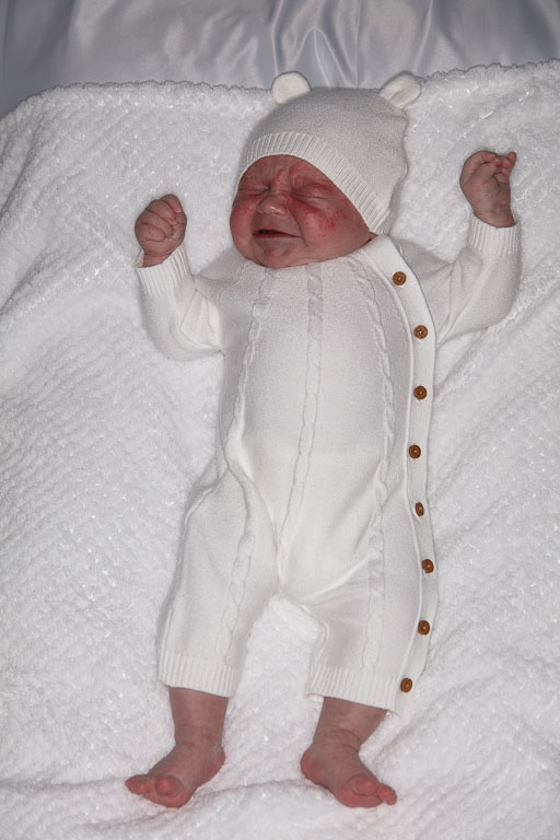 20250720-PQML7459.jpg 20250720-PQML7459.jpg