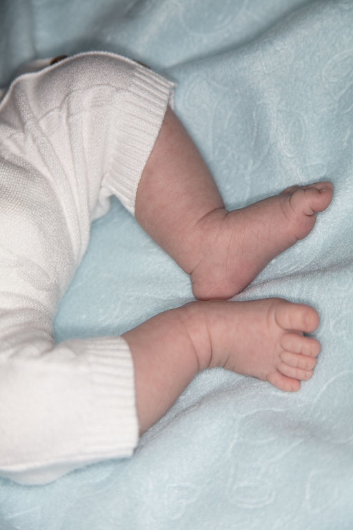 20250720-PQML7481.jpg 20250720-PQML7481.jpg