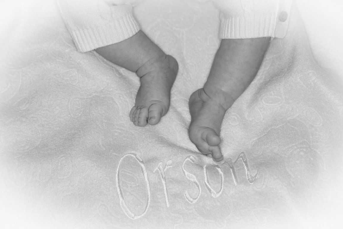 20250720-PQML7485.jpg 20250720-PQML7485.jpg