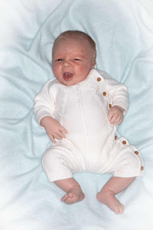 20250720-PQML7486.jpg 20250720-PQML7486.jpg