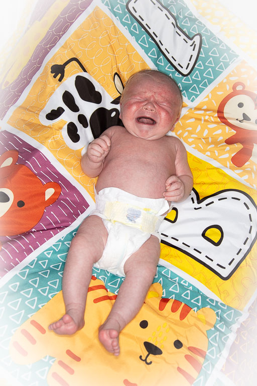 20250720-PQML7487.jpg 20250720-PQML7487.jpg