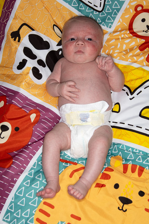 20250720-PQML7488.jpg 20250720-PQML7488.jpg