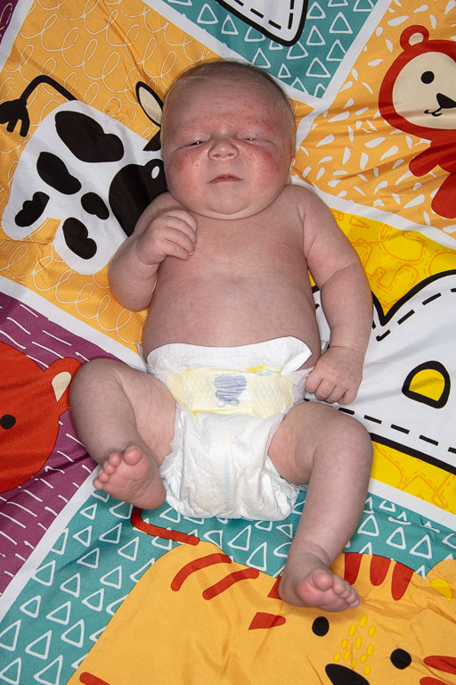 20250720-PQML7490.jpg 20250720-PQML7490.jpg