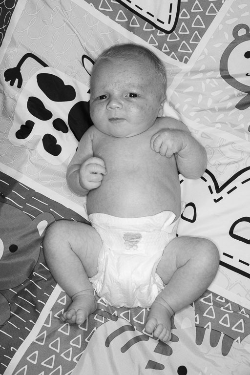 20250720-PQML7492.jpg 20250720-PQML7492.jpg