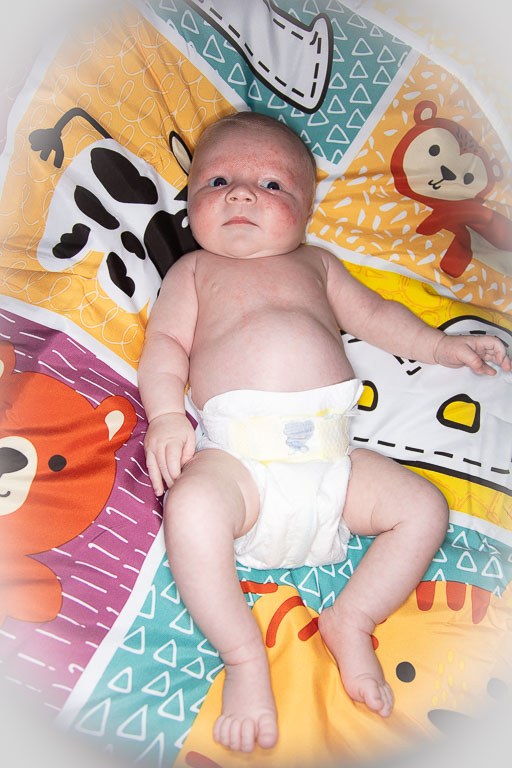 20250720-PQML7499.jpg 20250720-PQML7499.jpg