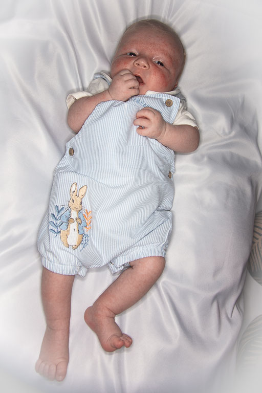 20250720-PQML7505.jpg 20250720-PQML7505.jpg