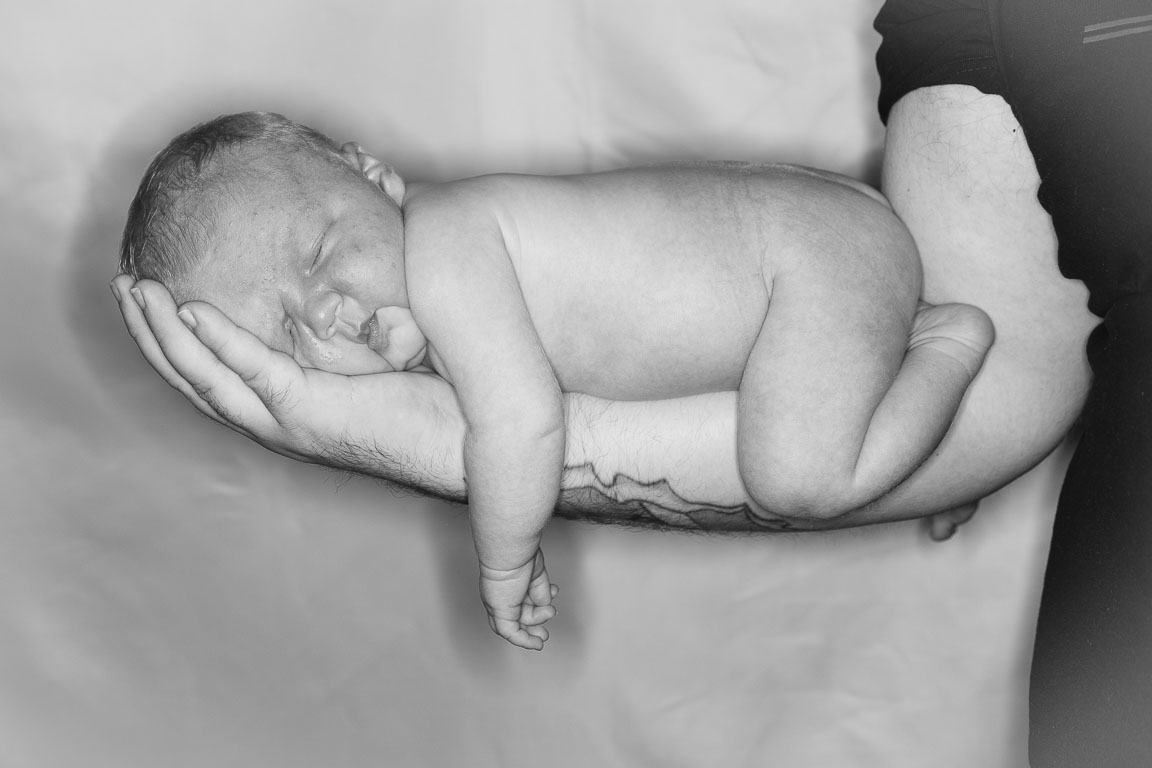 20250720-PQML7553.jpg 20250720-PQML7553.jpg