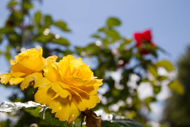 20110809_1660.jpg