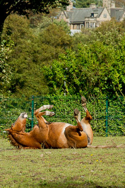 20110914_2787.jpg